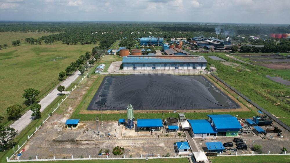 Konsisten Dukung Dekarbonisasi, Pertamina NRE-PTPN III Sepakati Komersialisasi Kredit Karbon