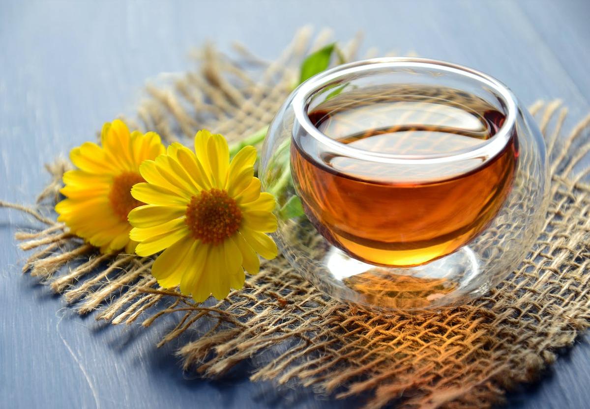 Penelitian Buktikan Minum 3 Cangkir Teh Sehari Bikin Awet Muda