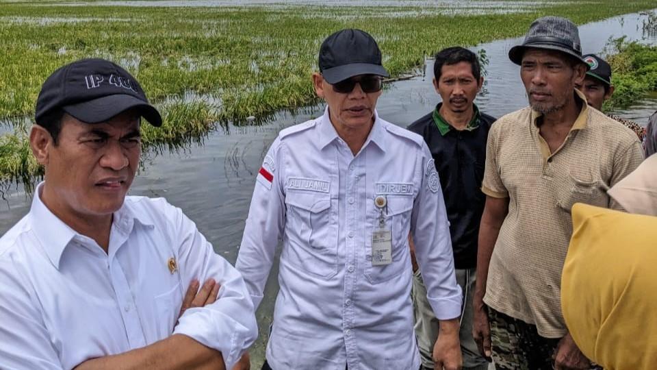 Mentan Amran Beri Bantuan Benih 10.000 Ha dan Rp30 Milliar Sarana Pertanian bagi Korban Banjir Demak
