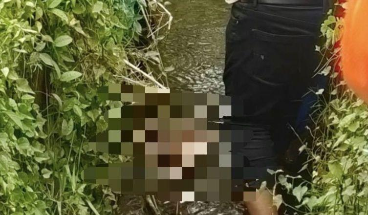Lagi Ngecek Padi, Petani di Aceh Temukan Mayat Bayi 2 Bulan