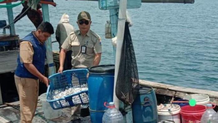 Tak Punya Izin, Pemkab Kep Seribu Tindak 6 Kapal Tangkap Ikan