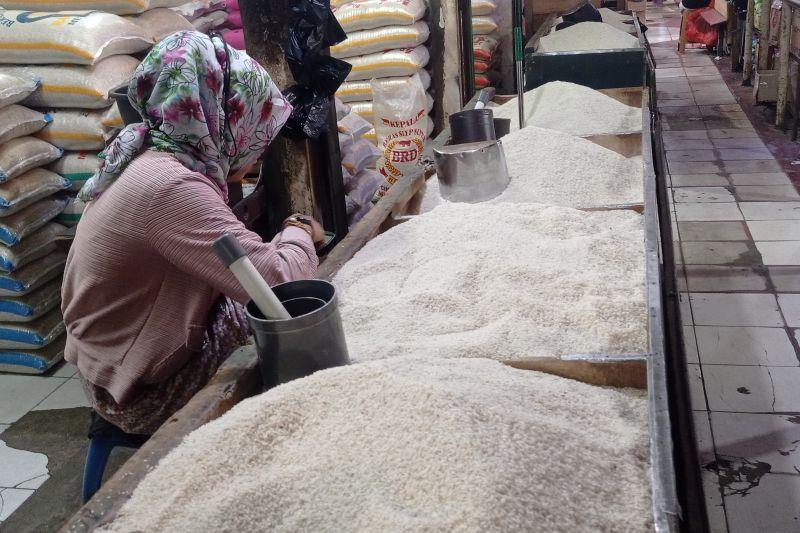 Warga di Lebak Ngeluh Harga Beras Medium Naik, Tembus Lebih dari Rp14 Ribu Per Kg