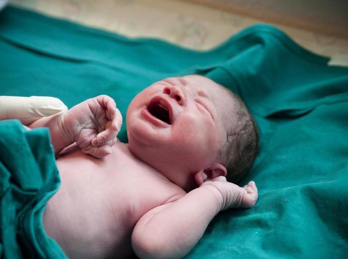 Polisi Bongkar Sindikat Jual-Beli Bayi di Jakbar