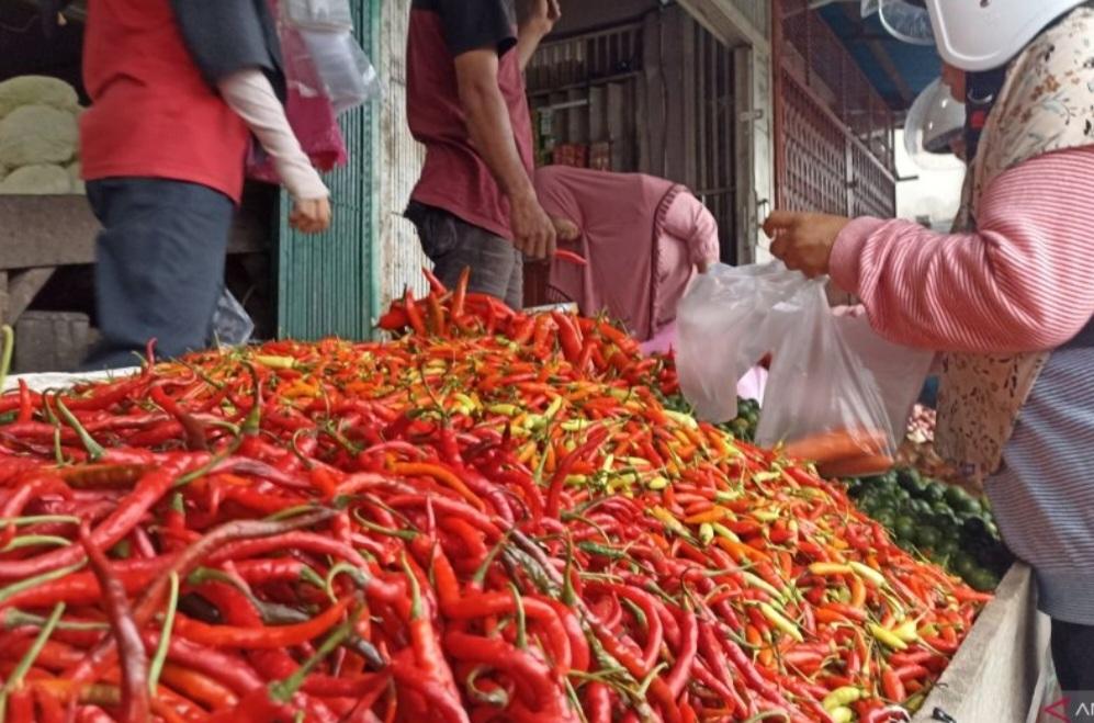 Wow! Pedasnya Harga Cabai Rawit di Kapuas Hulu Rp100 Ribu per Kilogram