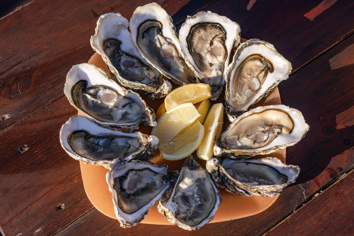 Inilah Mengapa Tanjungbalai Disebut Kota Kerang