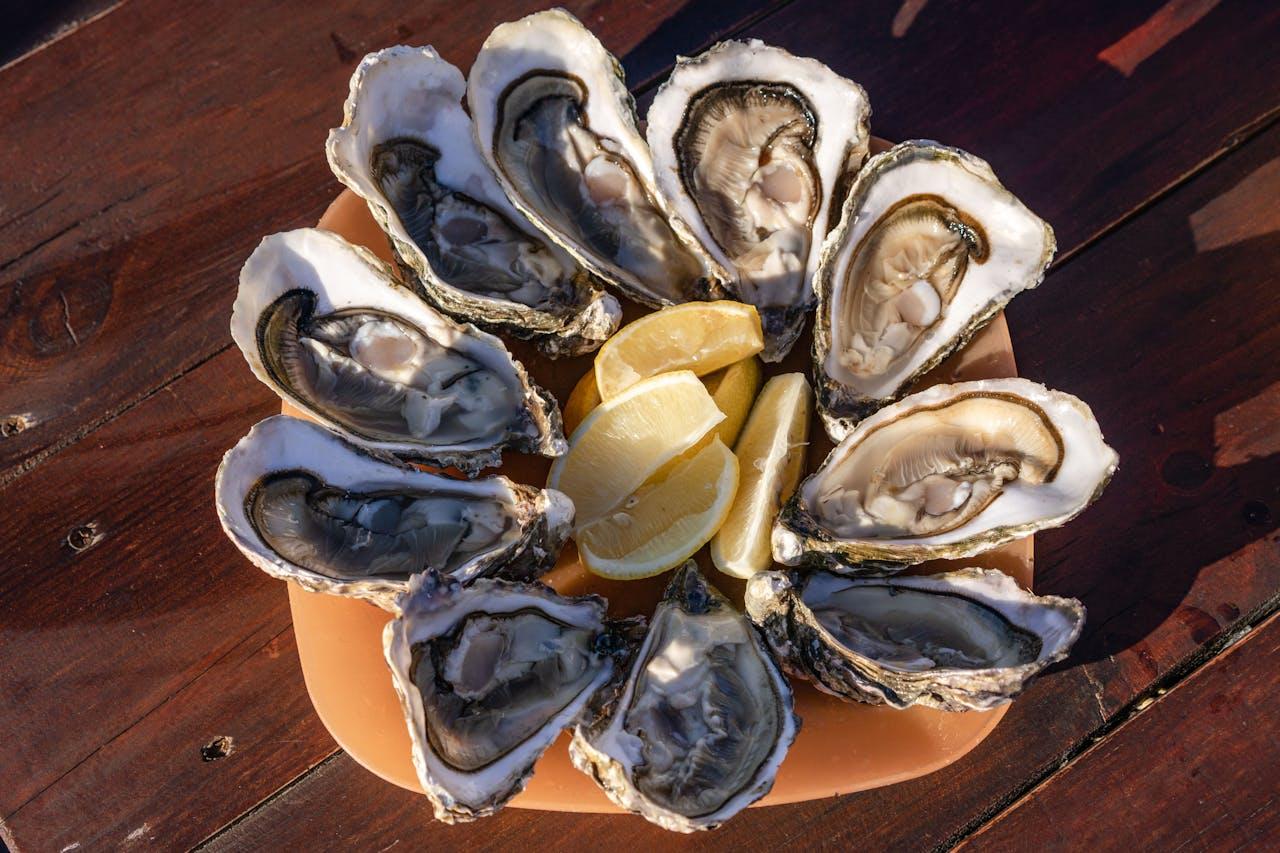 Inilah Mengapa Tanjungbalai Disebut Kota Kerang