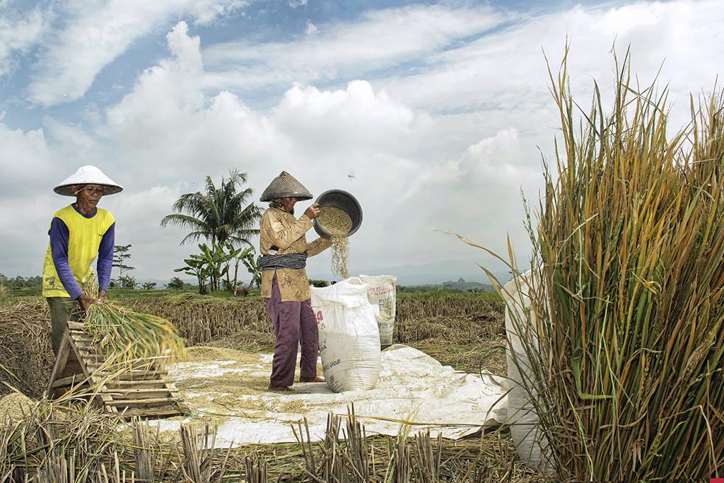 Bapanas Jamin Harga Beras Berangsur Normal Jelang Ramadan