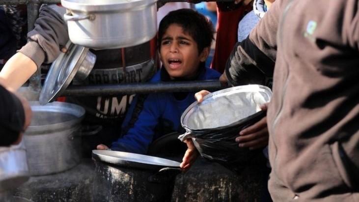 Tragis! 6 Bayi Meninggal-7 Kritis Imbas Malnutrisi Akut di Palestina
