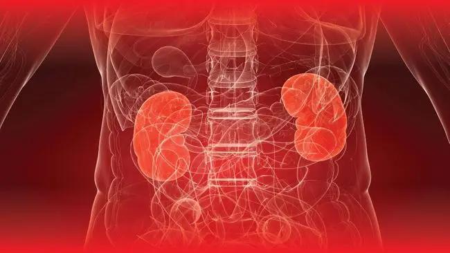 Ini Tips Jaga Kesehatan Ginjal Agar Berumur Panjang