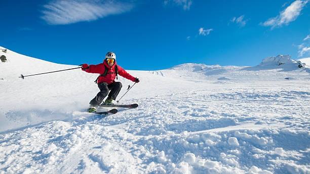 Bangun Dari Hibernasi, Beruang Serang Turis Yang Lagi Main Ski