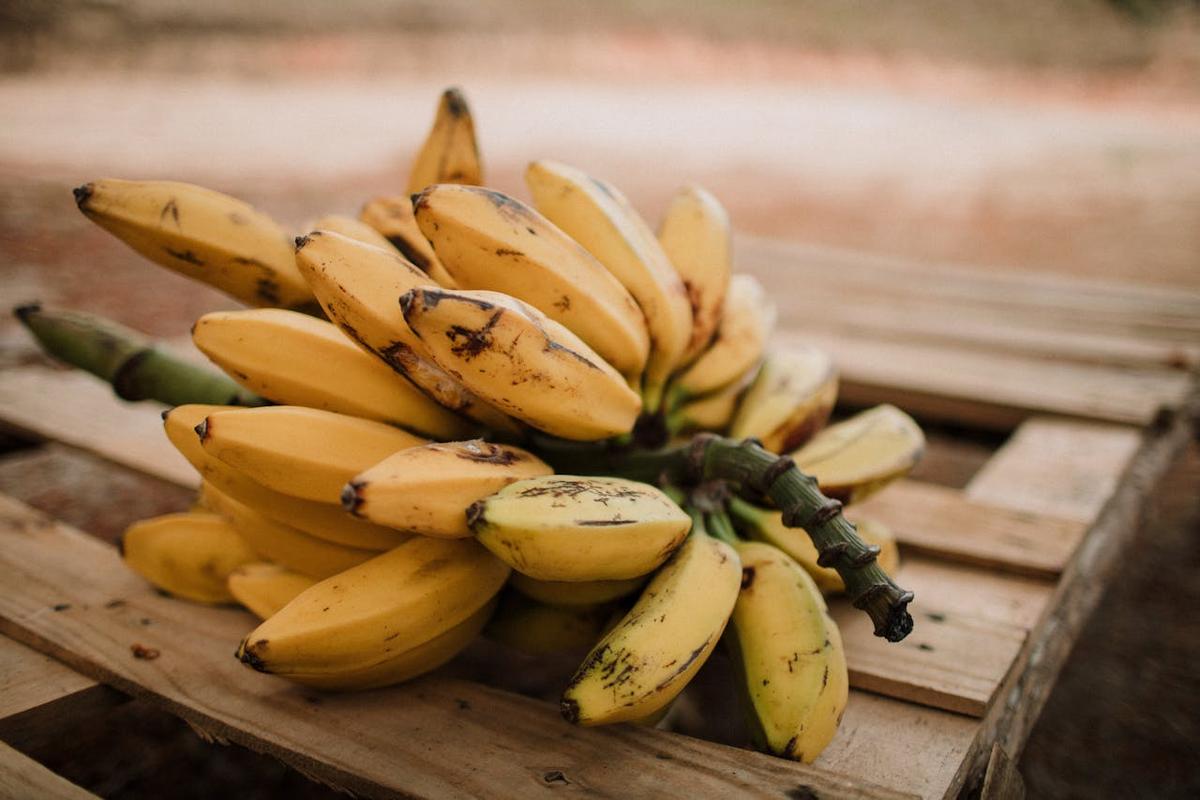3 Rekomendasi Jenis Pisang yang Cocok untuk Dijadikan Kolak
