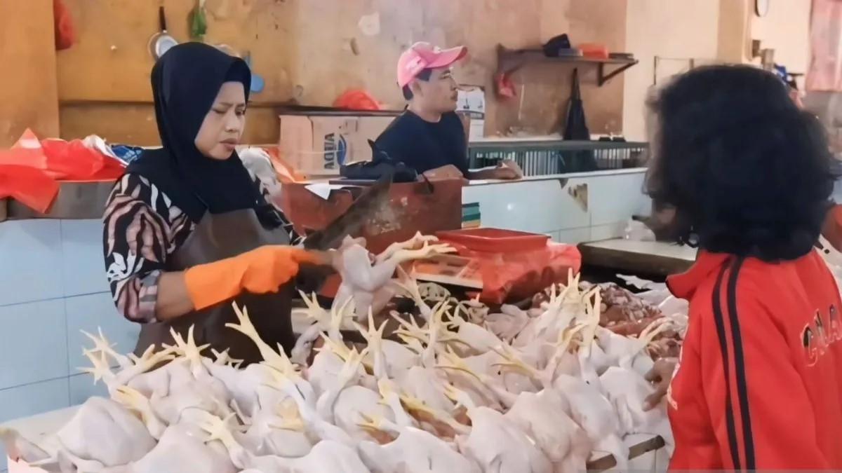 Hari Ketiga Ramadan, Harga Ayam di Pasar Ciracas Naik Hingga Rp55 Ribu