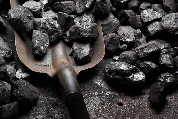 Di Balik Kebutuhan Energi Murah yang Masih Didominasi Batu Bara