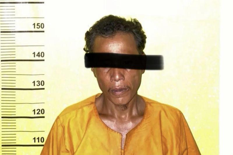 Bakar Lahan untuk Tanam Sawit, Pria di Riau Ditangkap Polisi