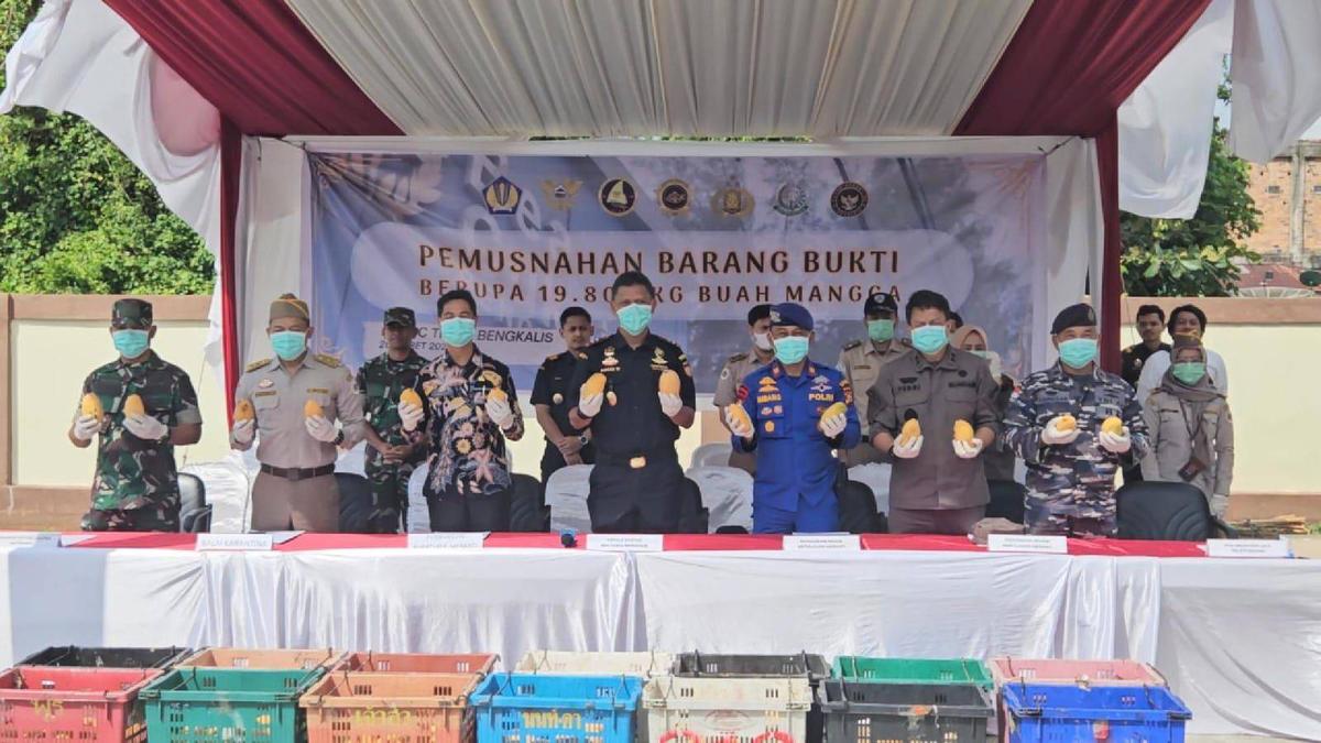 Bea Cukai dan Karantina Musnahkan Belasan Ton Mangga Impor Tak Berizin