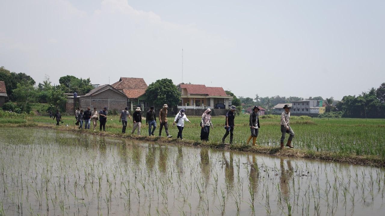 Alokasi Pupuk Banten Naik 114 Persen, Pemprov: Terima Kasih Pak Mentan