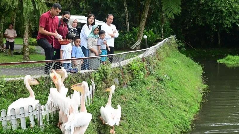 Yuk Intip! Momen Jokowi Ajak Cucu Wisata Pengenalan Satwa di Sumut