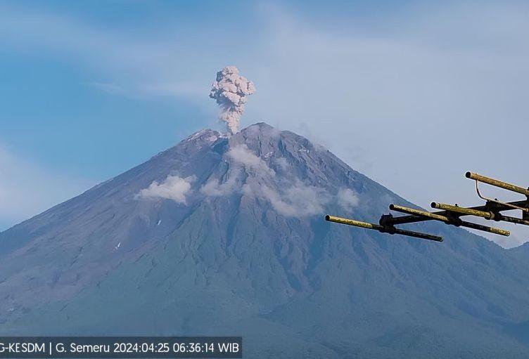 Gunung Semeru Erupsi 4 Kali Muntahkan Abu Vulkanik hingga 1.000 Meter
