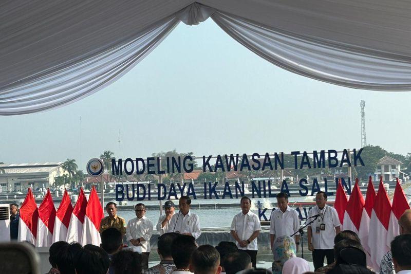 Di Karawang, Jokowi Resmikan Permodelan Budidaya Ikan Nila Salin