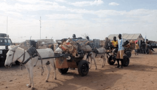 Konflik Sudan Telan 15 Ribu Korban Jiwa dan 33 Ribu Luka-Luka Sejak April 2023