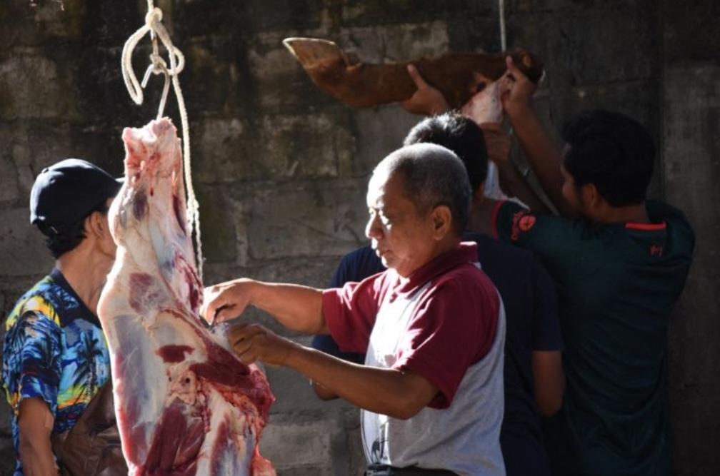 Pakar UGM Wanti-Wanti Mikroba Tumbuh dalam Daging Kurban