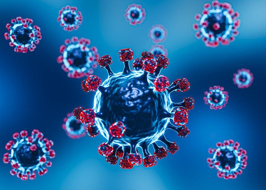 Virus Lassa Merebak di Nigeria, 156 Orang Meninggal