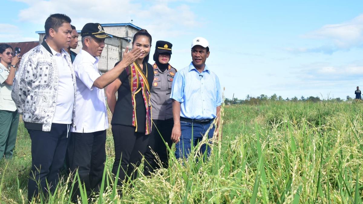 Tak Ada Waktu Libur, Mentan Amran Tetap Tinjau Jalannya Pertanaman Padi di Sulawesi Selatan