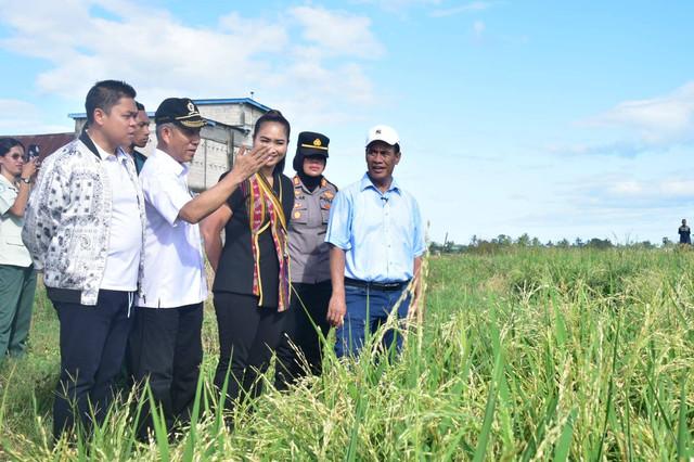 Mentan Tinjau Pertanaman Padi di Sulsel, Pastikan Bantuan Tepat Sasaran