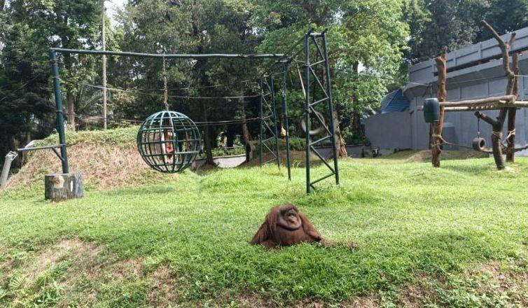 Warga Banten Ajak Anak Liburan Sambil Belajar di Kebun Binatang Ragunan