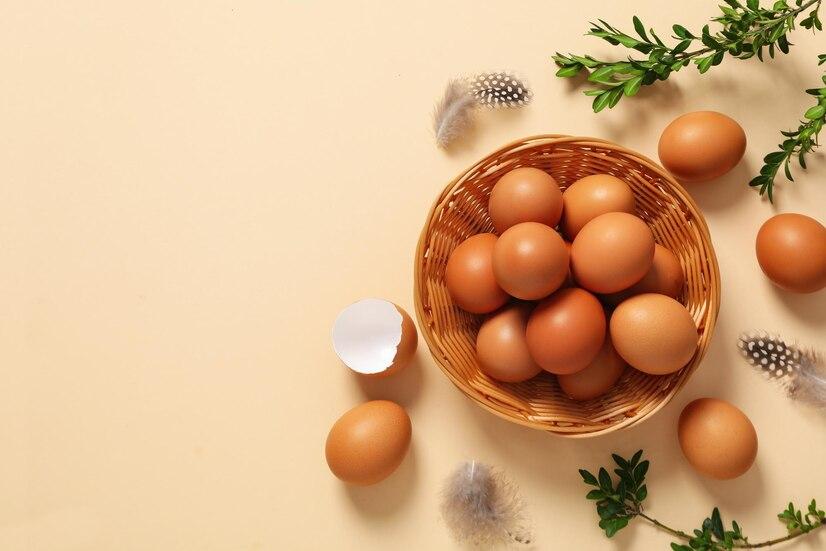 Ahli Gizi: Telur Bisa Jadi Sumber Protein Serbaguna dalam MPASI