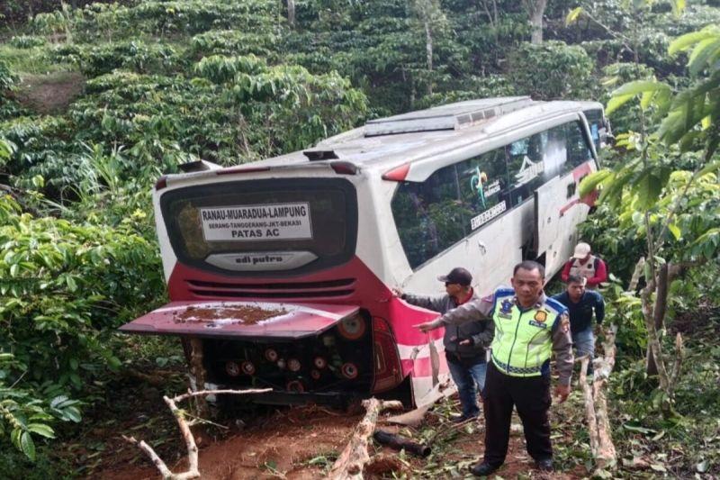 Bus Angkut 18 Orang Masuk Jurang Sedalam 50 Meter di Lampung