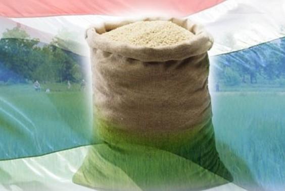 Berumur Satu Dekade, Thailand Punya Niatan Jual Stok Beras Terakhir