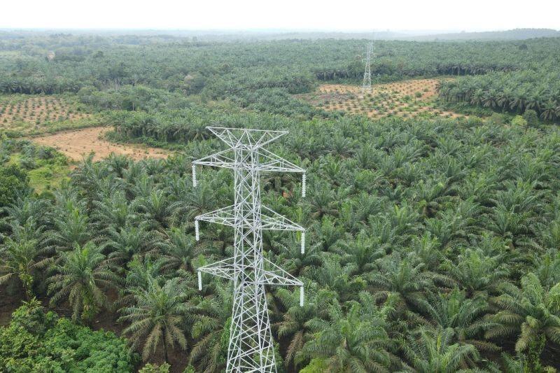 PLN ‘Spill’ Proyek Interkoneksi Kalbar-Kalteng SUTT 150 kV Capai 85,99 Persen