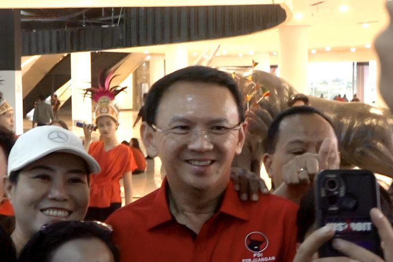 Disiapkan PDIP jadi Cagub Sumut, Ini Kata Ahok