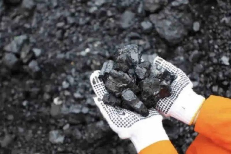 PP Minerba Jadi Karpet Merah bagi Ormas Agama Kelola Tambang Batu Bara