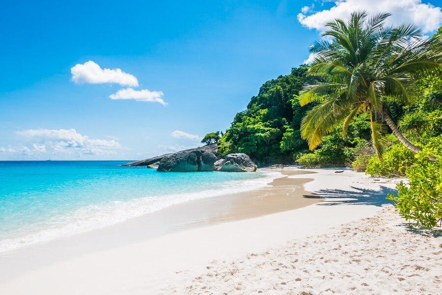 10 Pantai Paling Berbahaya di Amerika, Ada Hiu?