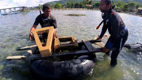 Selamatkan Terumbu Karang, Upaya Arutmin Lestarikan Lingkungan