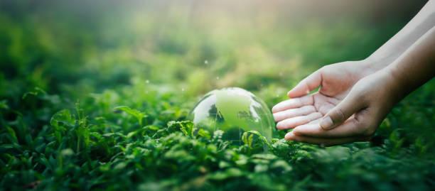 ESG Deposit yang Sustainable Jadi Jurus Bridgestone Dukung Green Finance