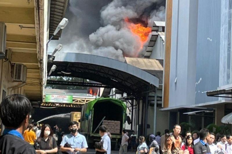 Perusahaan Kelapa Sawit Kebakaran di Medan, Damkar Kerahkan 7 Armada
