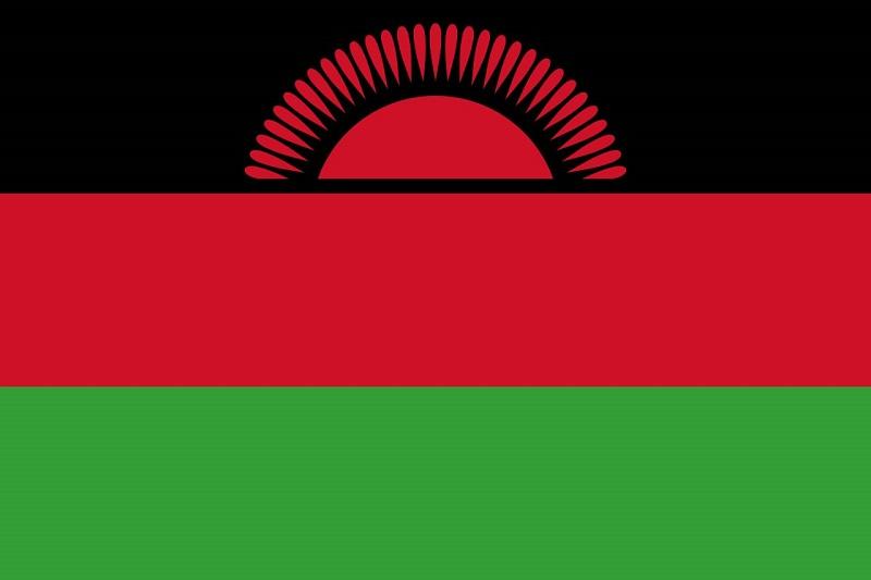 Wapres Meninggal Kecelakaan Pesawat, Malawi Berkabung Tiga Pekan