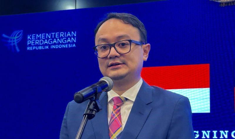 Aplikasi Temu Lebih Bahaya dari TikTok Shop, Begini Respons Wamendag