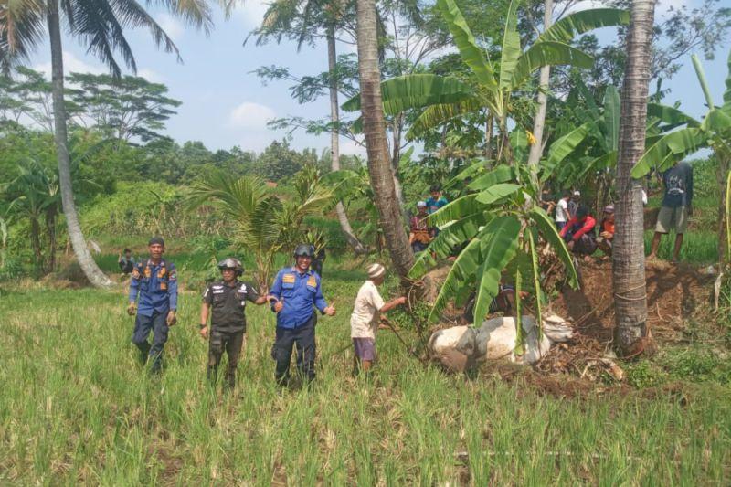 Sapi Kurban Mengamuk? Tenang, Damkar Buka Layanan untuk Itu