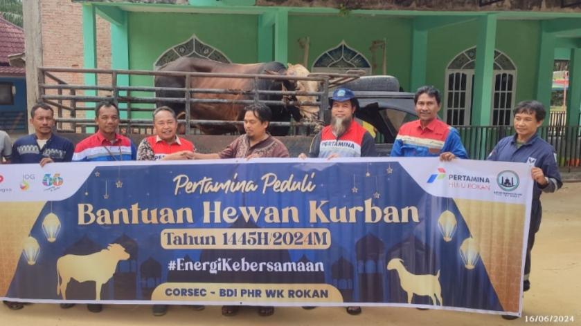 Berbagi di Hari Raya Idul Adha, Pertamina Salurkan 4.493 Hewan Kurban