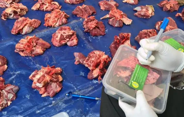 Mengandung Cacing Hati, 66 Kilo Hati Hewan Kurban Idul Adha di Jakbar Dimusnahkan
