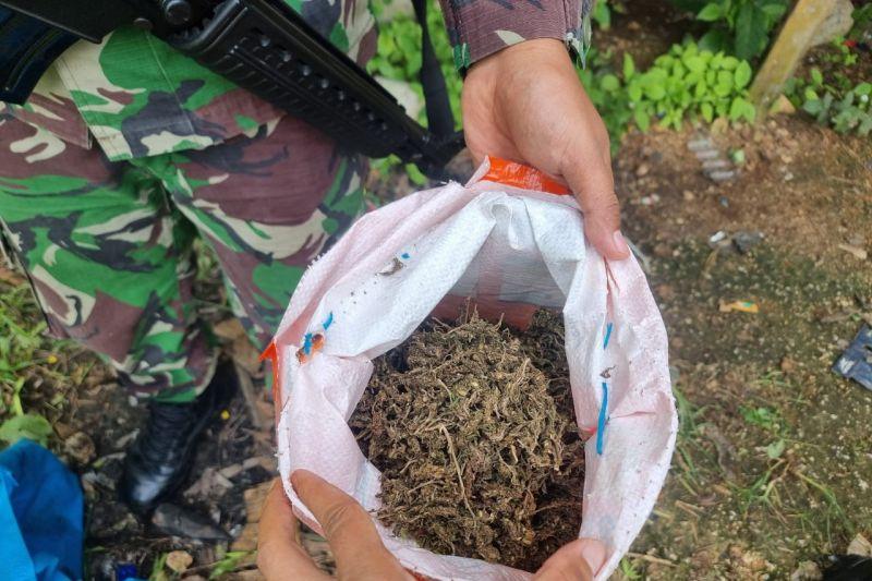 Yonif 122/TS Temukan Ganja 1,2 Kilogram di Jalur Perlintasan Ilegal Papua