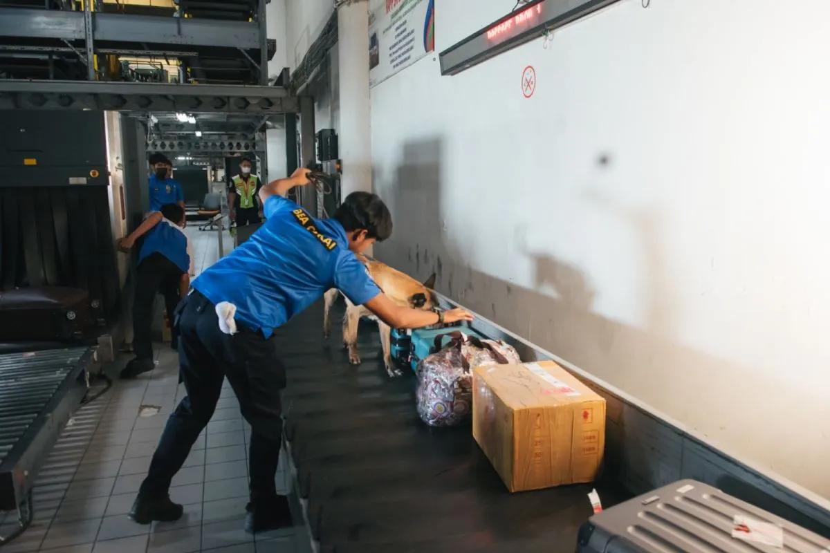 Hari Anti Narkotika Internasional 2024: Bea Cukai Lakukan Upaya Preventif Cegah Masuknya Narkotika ke Indonesia
