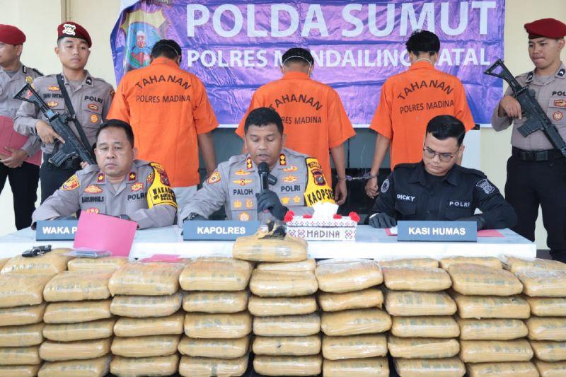 Polres Mandailing Natal Tangkap 3 Kurir 110 Kilogram Ganja