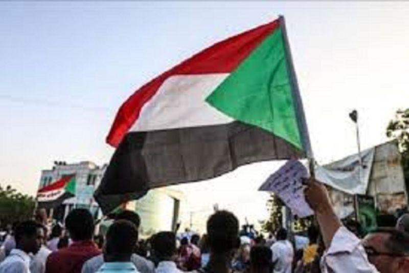 Selusin Korban Tewas dalam Serangan di Pasar Ternak El Fasher Sudan