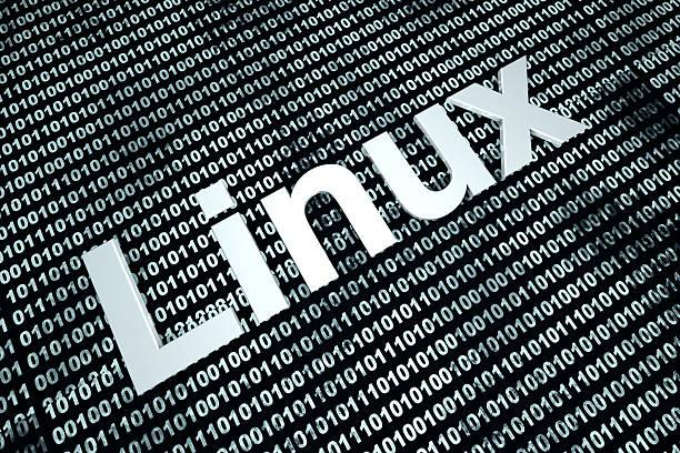 Berkat Kreativitas Mahasiswa Ini, Google Drive Bisa Jalankan OS Linux