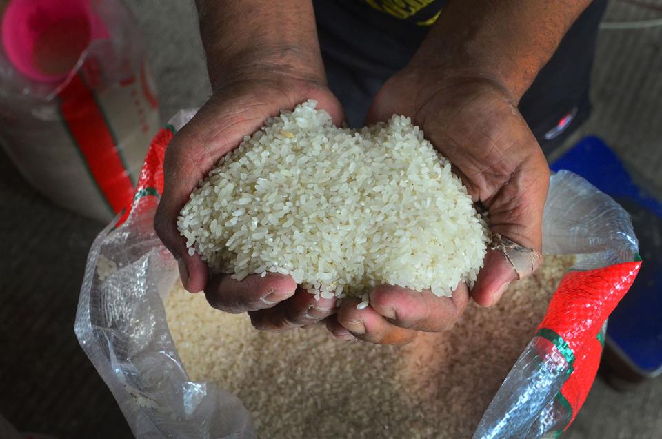 Meski Impor, Bulog Komitmen Prioritaskan Beras Lokal